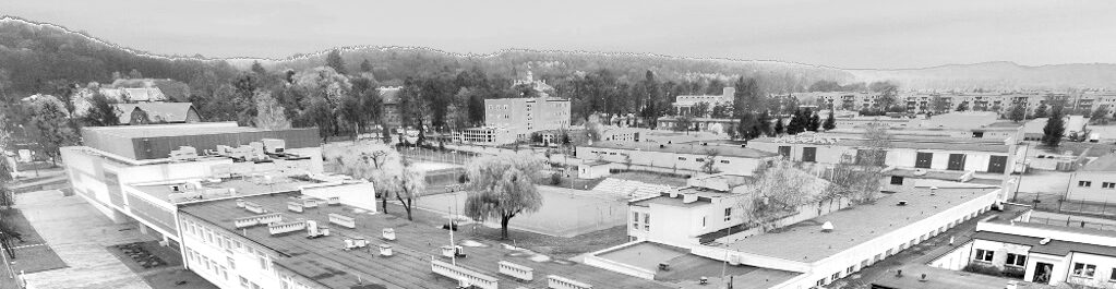 Apartament Złota Morela